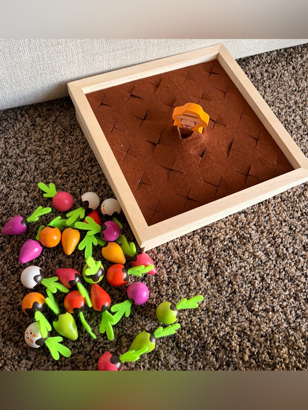 Wooden Garden plant vegetable Matching Game
